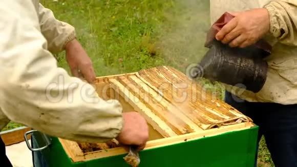 慢动作养蜂人收获蜂蜜养蜂人抱着一个装满蜜蜂的蜂窝防护工作服检查视频的预览图
