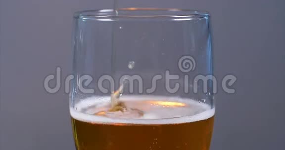 在一品脱杯子上倒入啤酒慢动作视频的预览图