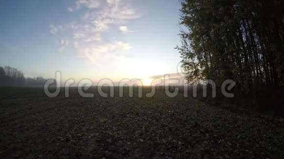 秋日的日出笼罩着雾蒙蒙的晨田和树林时光流逝视频的预览图
