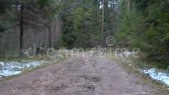 森林里冰冻的肮脏小道录像视频的预览图