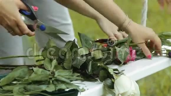 女人的手是切花红和白玫瑰视频的预览图