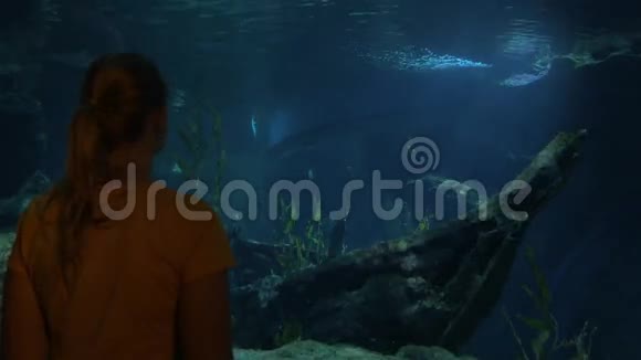 泰国曼谷的年轻女子在暹罗海洋世界海洋馆观看鱼视频的预览图