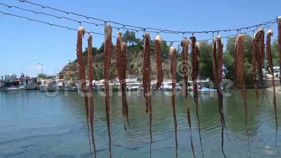希腊塔索斯港利马纳里亚的鱿鱼干燥视频的预览图