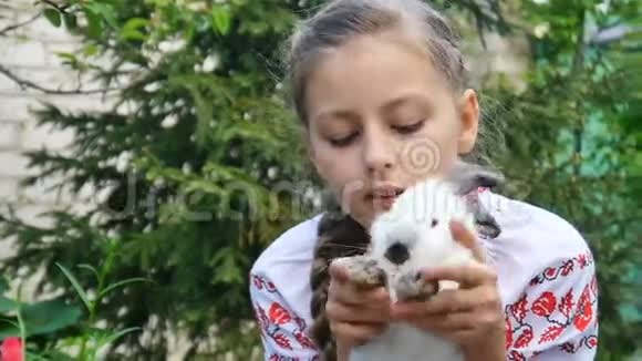 小女孩抱着白兔视频的预览图