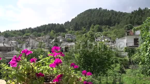 潘噶村景色背后粉红花视频的预览图