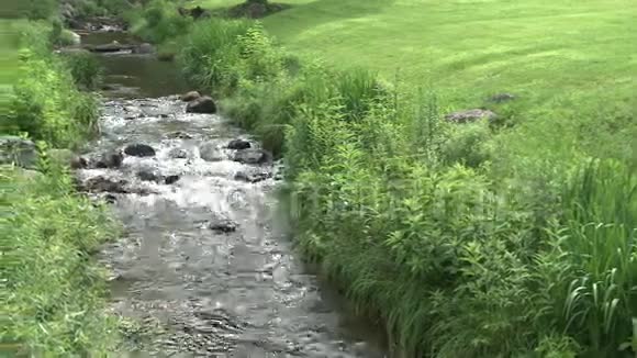 公园里的一条小溪4分之3视频的预览图