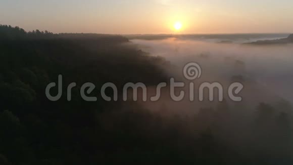 日出无人机在雾和树木上方的镜头视频的预览图