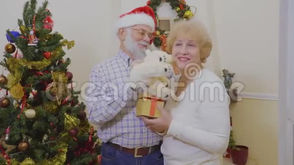 圣诞树附近快乐的老人视频的预览图