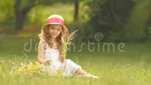 小女孩坐在一片空地上翻过被撕破的野花从它们身上做一束花视频的预览图