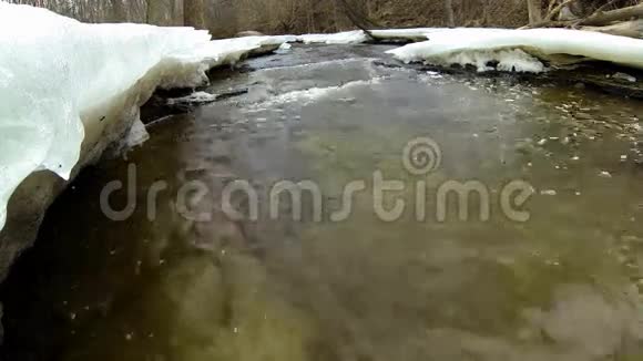 冬天的小溪视频的预览图