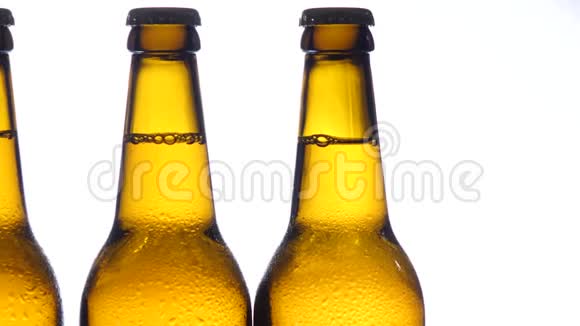 瓶装深色啤酒它们是为啤酒节准备的白色背景关门视频的预览图