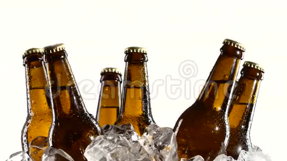 黑瓶子里的醉啤酒立在冰里白色背景关门视频的预览图