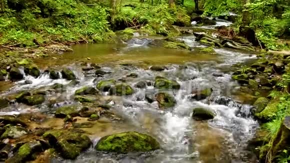 溪水山间小溪泉水石头上青苔巨石上流水视频的预览图