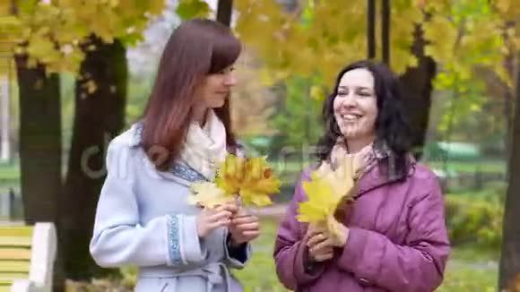 两个女人在秋天公园聊天视频的预览图
