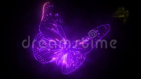 光明和霓虹灯在黑暗中创造的蝴蝶视频的预览图