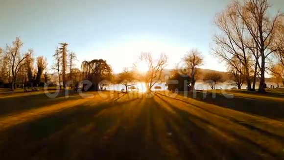 美丽的湖光飞树林视频的预览图