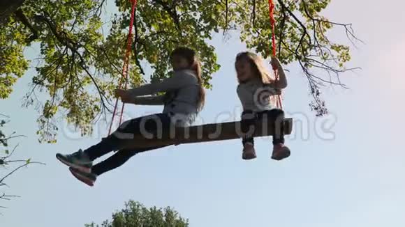 两个女孩在树下荡秋千视频的预览图