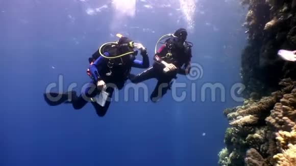 两名深水潜水者在红海水下的珊瑚礁附近游泳视频的预览图