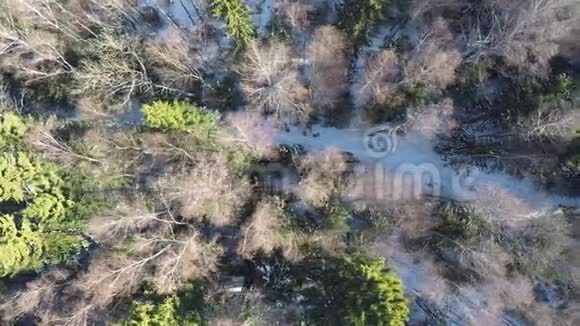 有雪道的冬林空中射击视频的预览图