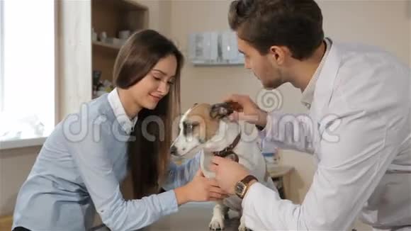 男性兽医检查狗牙齿视频的预览图