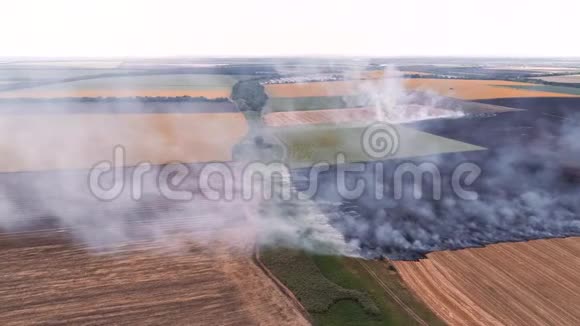 自然灾害燃烧农村火灾烟雾视频的预览图