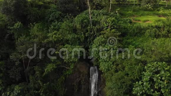 4K航空无人机镜头惊人的瀑布景观在巴厘岛的丛林雨林中的日落时间视频的预览图