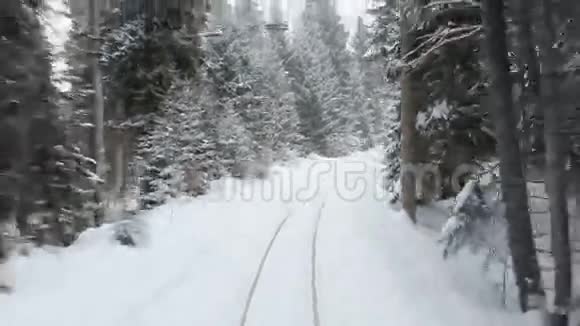 火车上穿过白雪皑皑的冬林视频的预览图