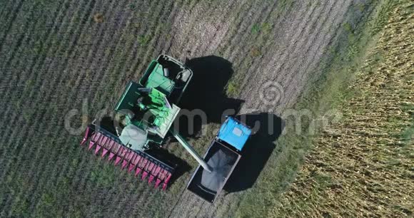 空中无人机观农民驾驶农业联合和卡车装满粮食农业葵花田视频的预览图