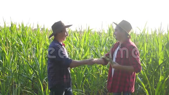 团队合作智慧农牧概念慢动作视频两个男人农艺师两个农民胜利握手团队合作视频的预览图
