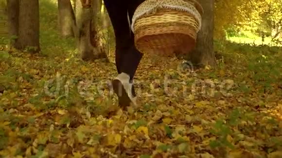 瘦女孩走在落叶上穿过秋天的森林拿着一个野餐篮慢动作稳定射击视频的预览图