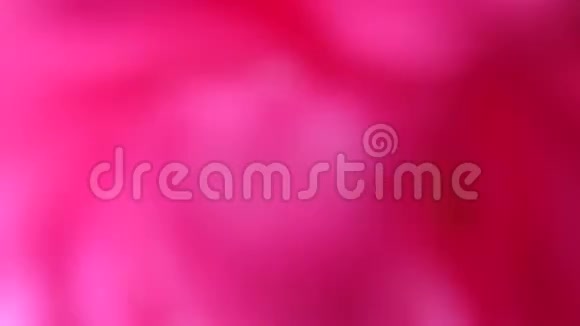 粉色模糊抽象背景运动斑点视频的预览图