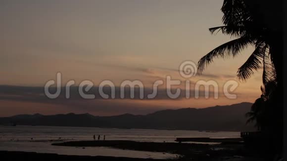日出覆盖热带岛屿海滩和棕榈树巴厘岛视频的预览图