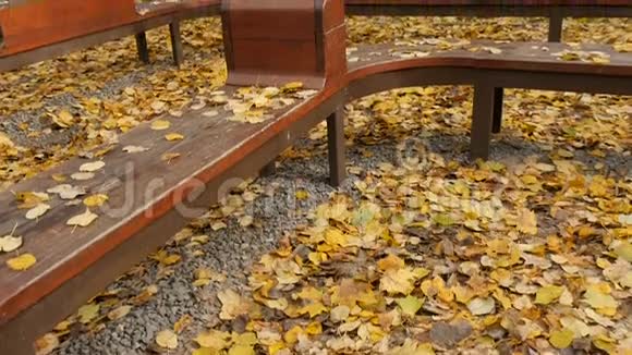 在秋天的城市公园散步视频的预览图