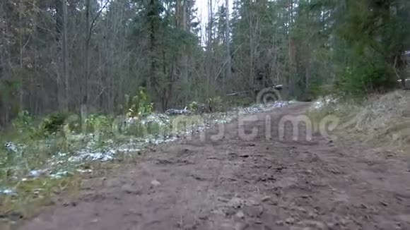 森林里冰冻肮脏道路的录像视频的预览图