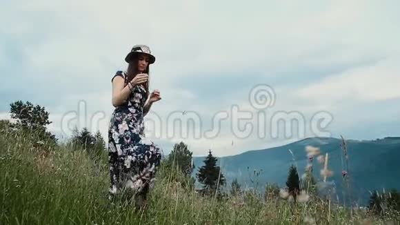 戴着帽子和裙子的年轻漂亮女人正在山上采花视频的预览图
