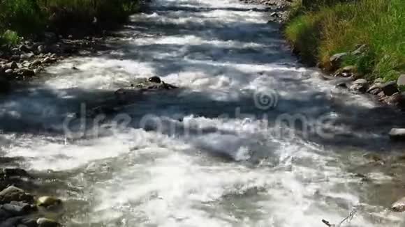 波光粼粼的河水视频的预览图