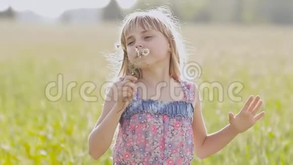 一个美丽的小女孩金色的女孩手里拿着洋甘菊的花在夏天摆姿势和旋转视频的预览图