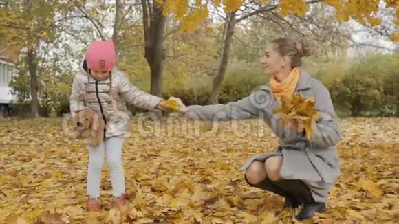 妈妈和宝宝在公园里收集黄色的落叶视频的预览图