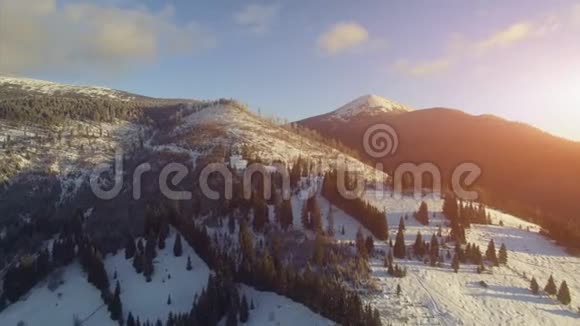 在大雪中飞越冬季山林视频的预览图