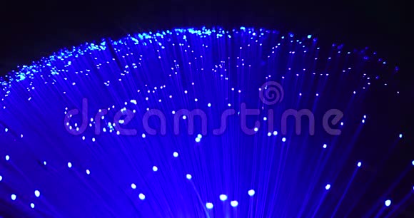 蓝紫紫长束光纤背景的细节高速互联网连接的快速光信号视频的预览图