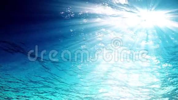 漂浮浮游生物从水下的海浪循环动画光线透过很受欢迎视频的预览图
