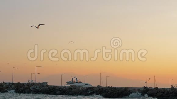 日落时分海海海鸥在天空中飞翔视频的预览图