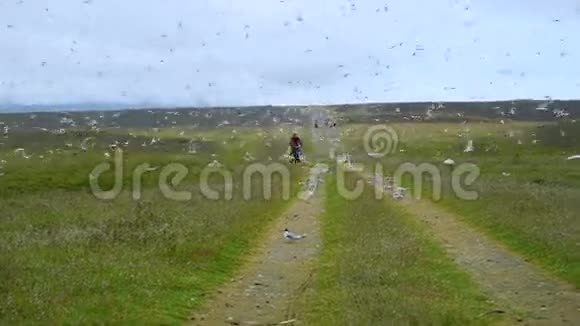 女孩骑自行车的人沿着这条路骑过一群海鸥冰岛视频的预览图