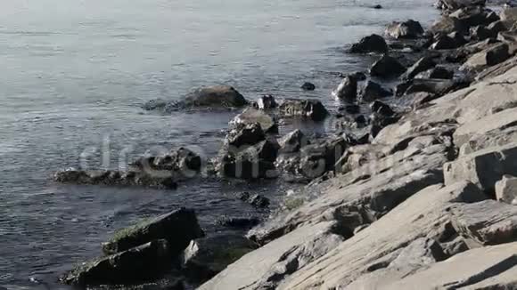 洛基海岸带视频的预览图