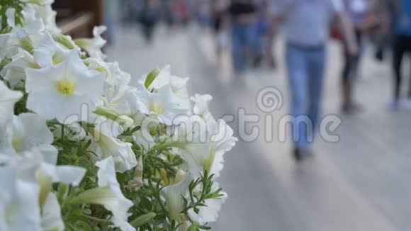 街上的咖啡馆点缀着白花人们走在城市的街道上而不是集中注意力视频的预览图