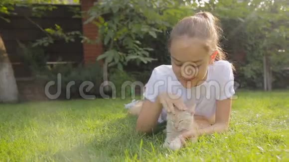 可爱的女孩躺在草地上爱抚红色的小猫视频的预览图
