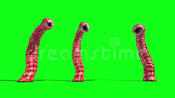 3怪物异形虫攻击前绿幕3D渲染动画视频的预览图