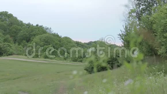 美丽的山景有树木草云和乡村道路视频的预览图