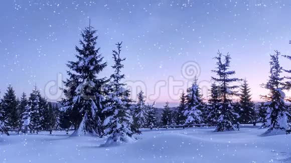 神秘的冬季景观雄伟的山脉在冬天神奇的冬雪覆盖树照片贺卡博克效应视频的预览图