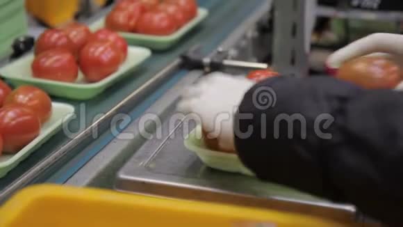 在秤上称量西红柿和员工送到传送带视频的预览图